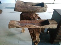 Tronco Frutero / Jardinera